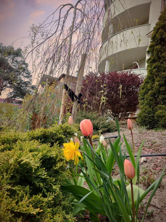 Komfortowy Apartament Dwupokojowy Z Tarasem I Garaz Ustka Eksteriør bilde